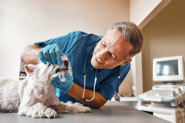 Best Dentist for Tooth Abscess  in Rankin, TX